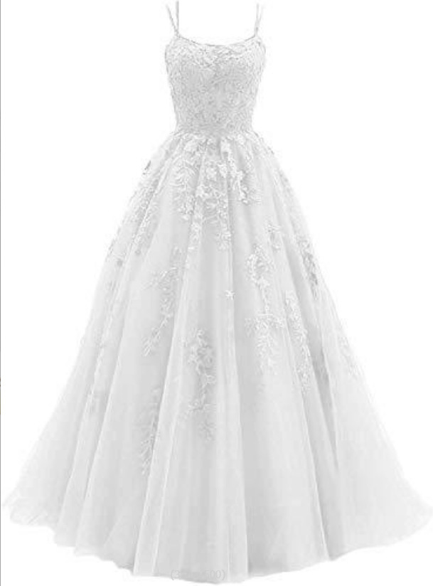 Ball Gown Tulle Applique Sleeveless Brush Train Dress