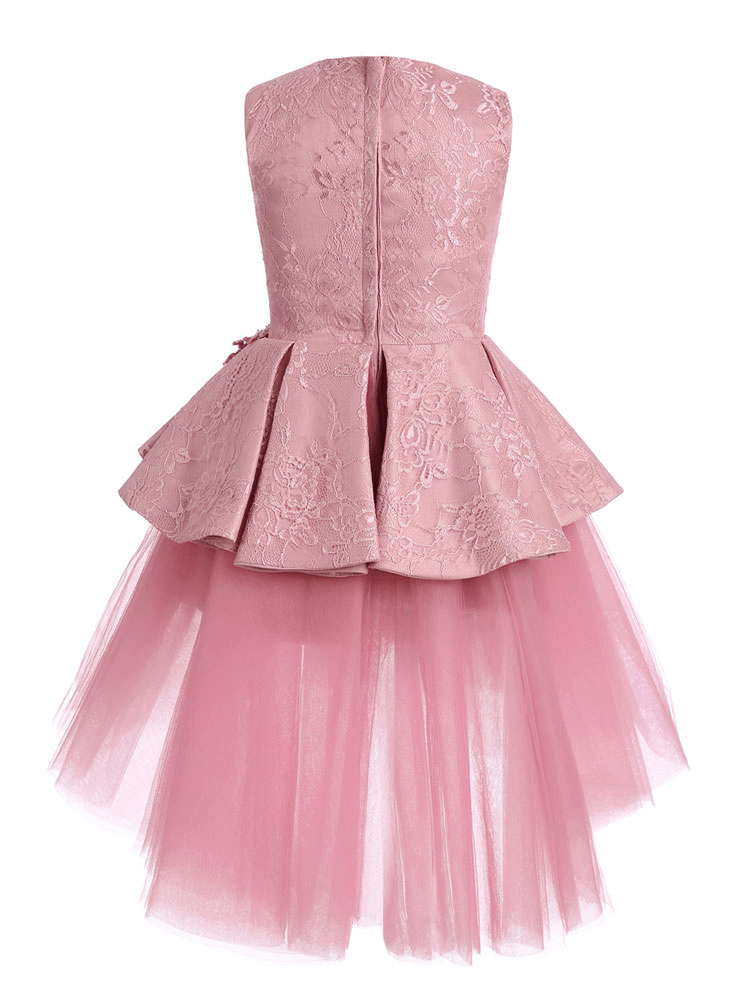 A-Line Pink Lace Appliqued Sleeveless Kids Party Dress